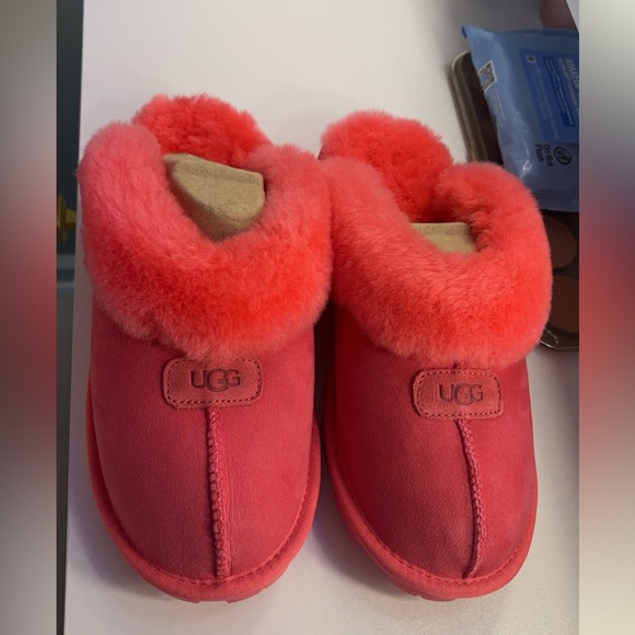 UGG Shoes - They are never worn before size 9